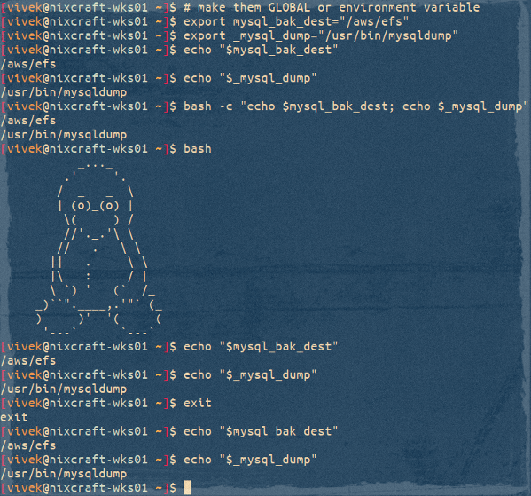 How to Set Environment Variables in Linux nixCraft