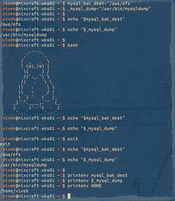 Linux Set Environment Variable Command Tutorial Mefics