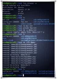 Understanding The Linux Delete Command Bash Linux Understanding The Linux Delete Command Bash Linux