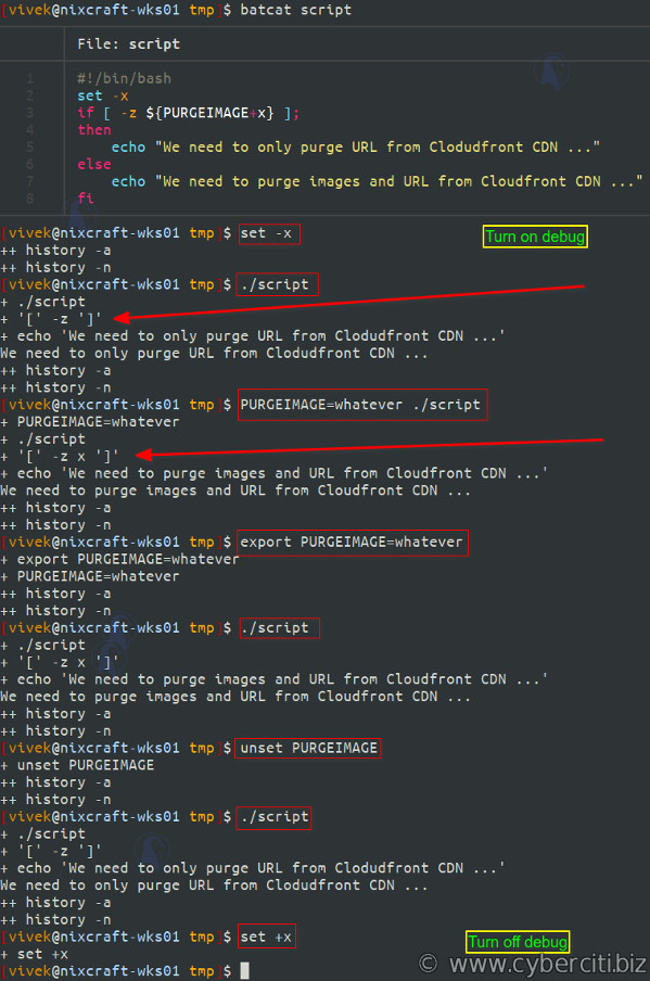 How to check if bash variable defined in script nixCraft
