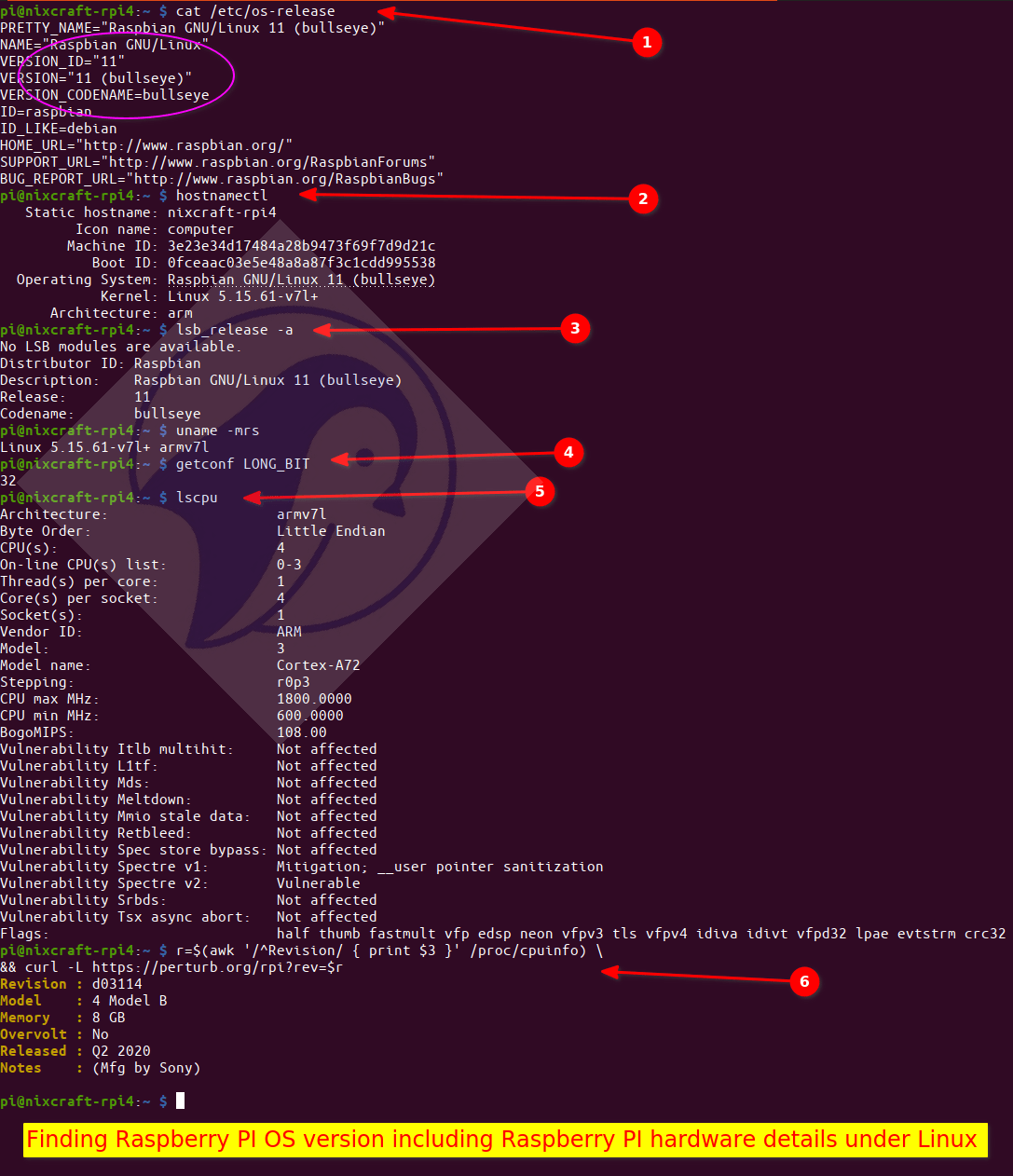 How to see Raspberry Pi OS version on Raspberry PI nixCraft