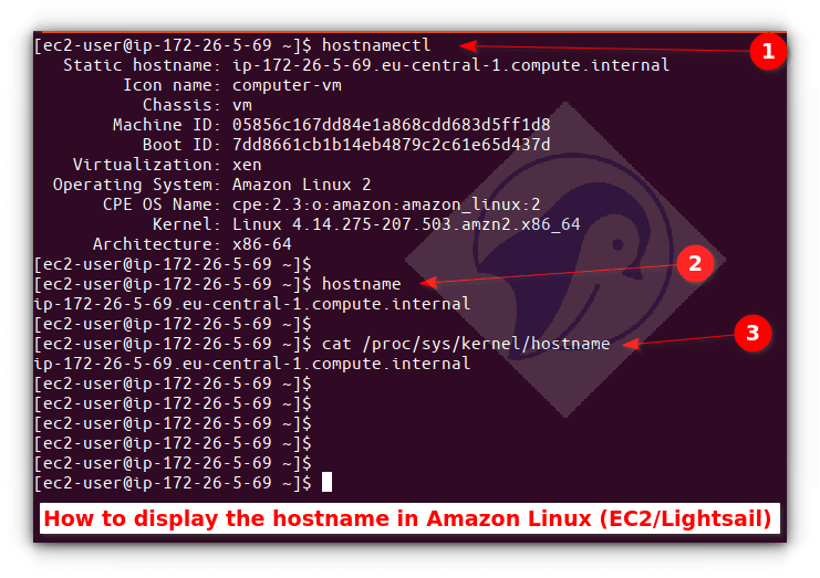 How to change hostname on Amazon Linux 2 without reboot nixCraft
