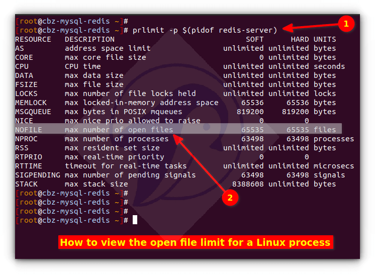 How to view the open file limit for a Linux process nixCraft