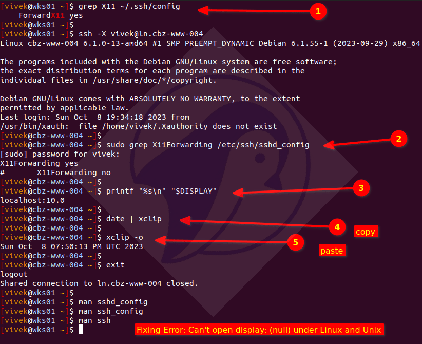 How to fix "Error Can't open display (null)" with ssh and xclip
