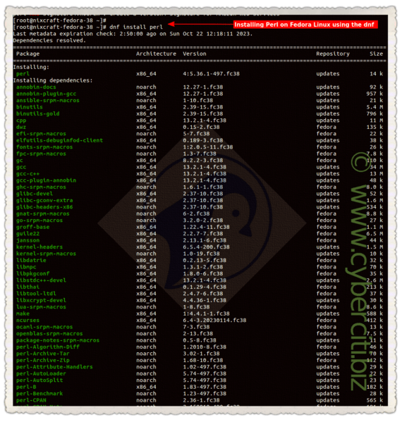 How to install Perl in Fedora Linux nixCraft