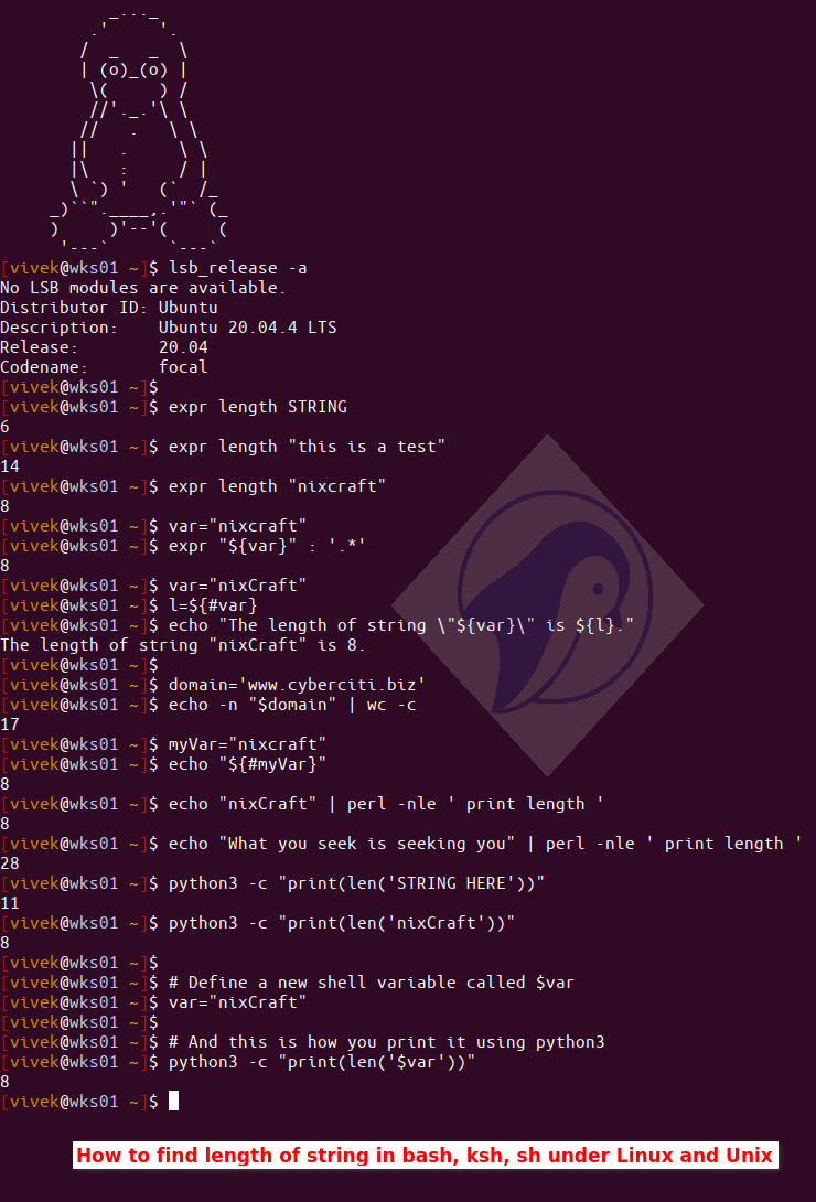 Bash/KSH/SH Shell Find The Length Of a String nixCraft