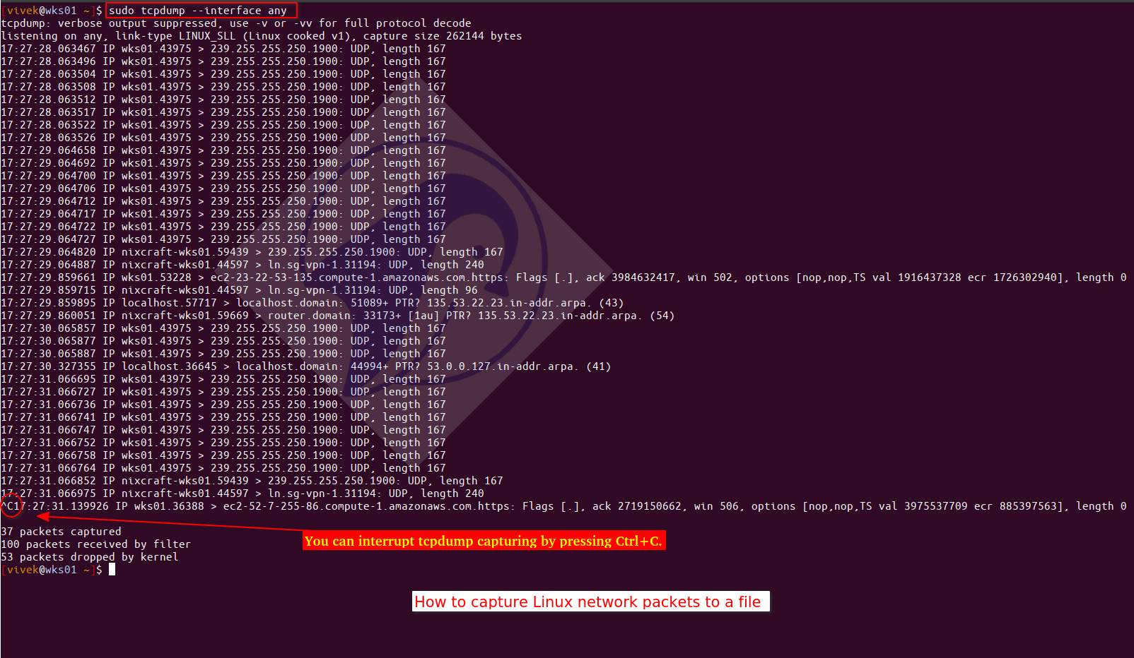 How to capture Linux network packets to a file nixCraft
