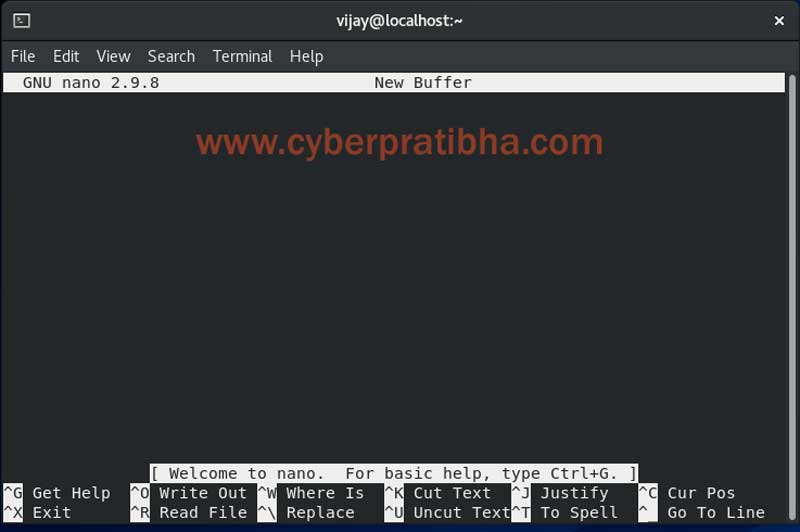 What is text editor in command prompt pormint