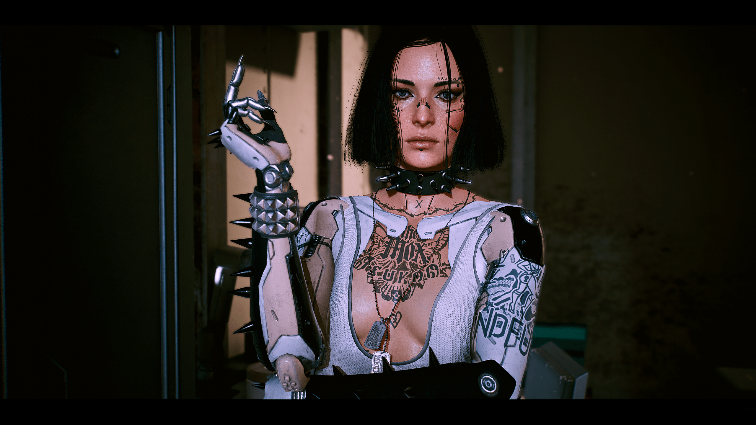 Last V Cyberpunk 2077 Mod