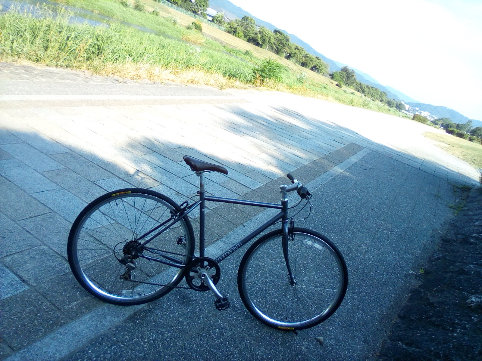 高評価のクリスマスプレゼント 良品 GIANT MOMENTUM iNEED 700C アルミ シマノ21速 420mm クロスバイク