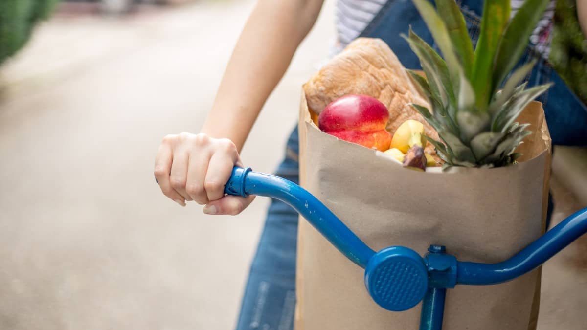 5 Ways to Carry Groceries on a Bike Pros, Cons, Best Options Cycle
