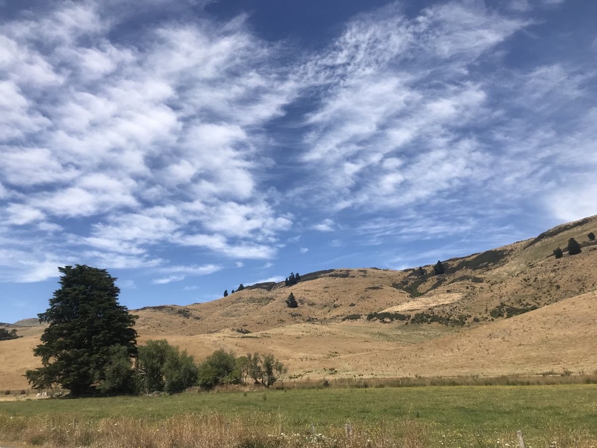 La NouvelleZélande à vélo (2022) En 50 étapes Chemins d'un cyclopède