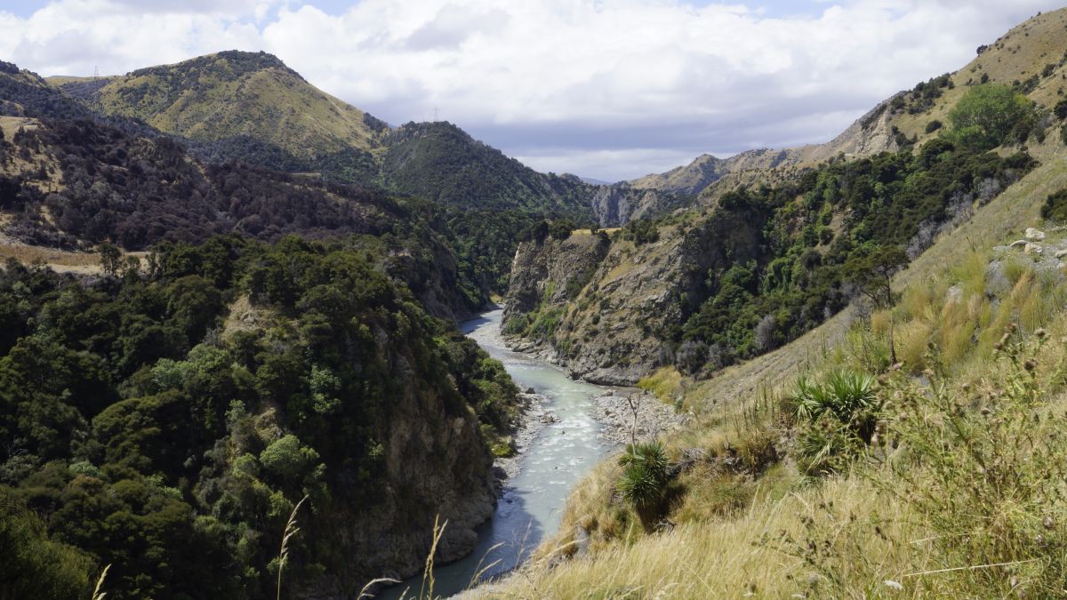 La NouvelleZélande à vélo (2022) En 50 étapes Chemins d'un cyclopède