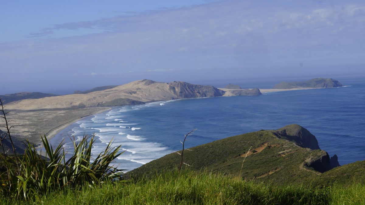 La NouvelleZélande à vélo (2022) En 50 étapes Chemins d'un cyclopède
