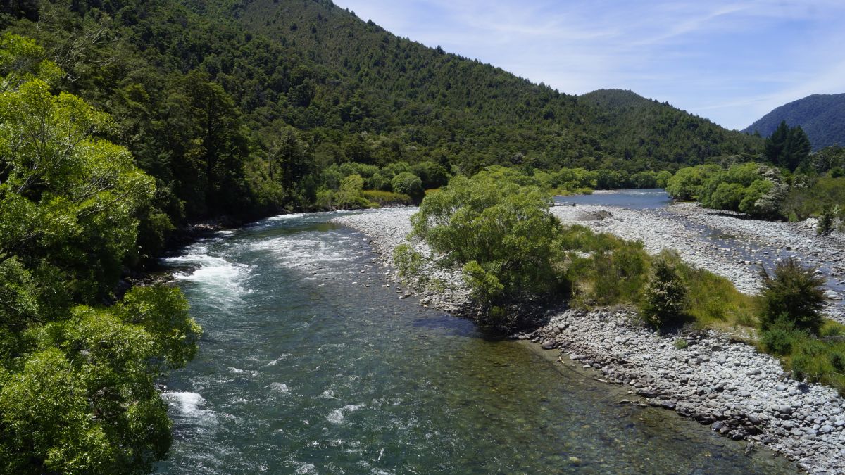 La NouvelleZélande à vélo (2022) En 50 étapes Chemins d'un cyclopède