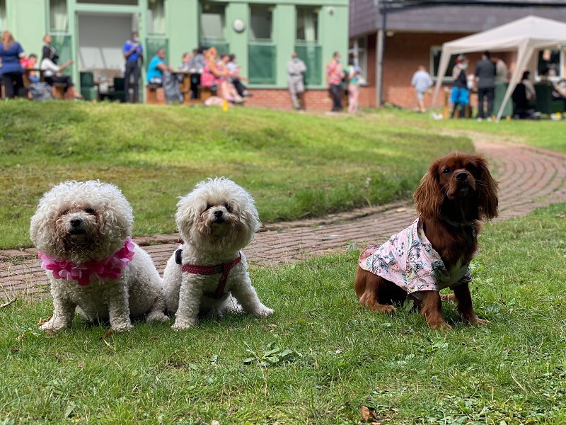 A Fun Day at Hospital Harrow