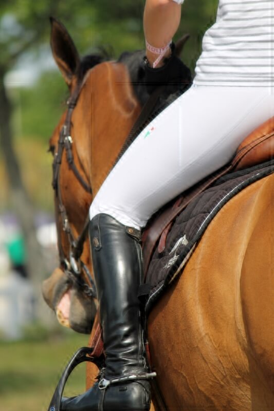 Horseback Riding Lessons Cypress Breeze Farm Horseback Trail Riding
