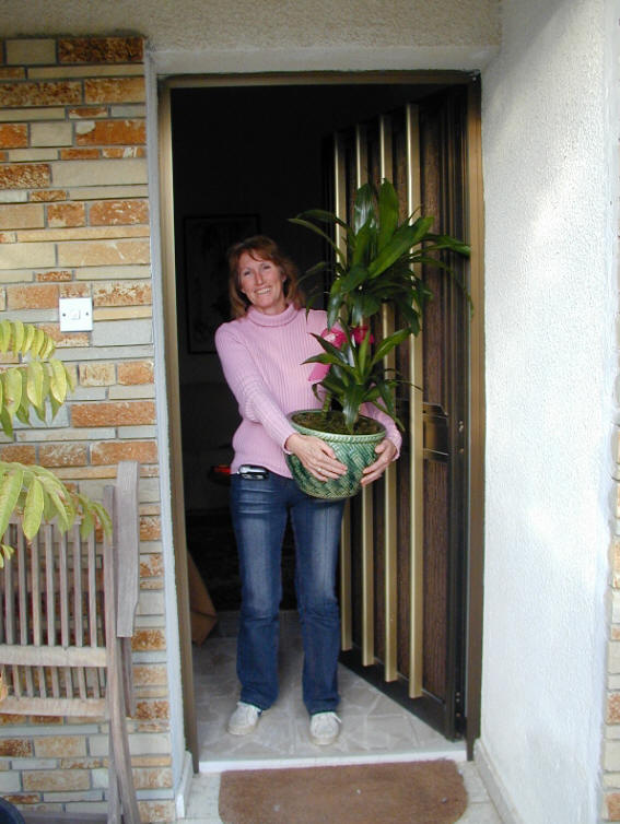 Flower Delivery pictures in Cyprus We deliver to Ayia Napa, Protaras