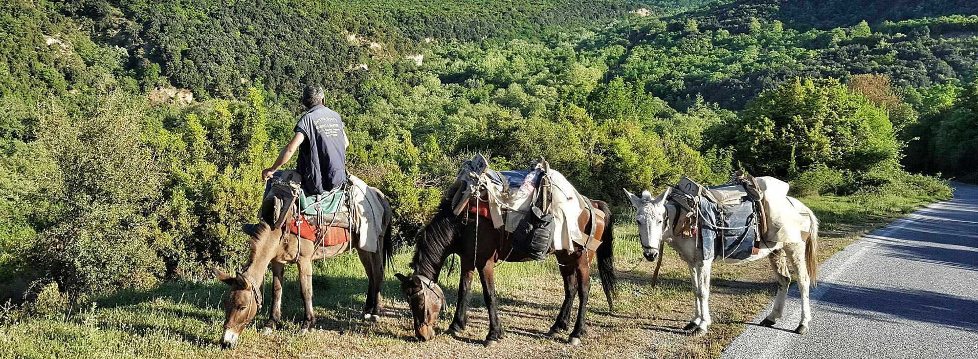 Traditional Cyprus an island rich in culture!