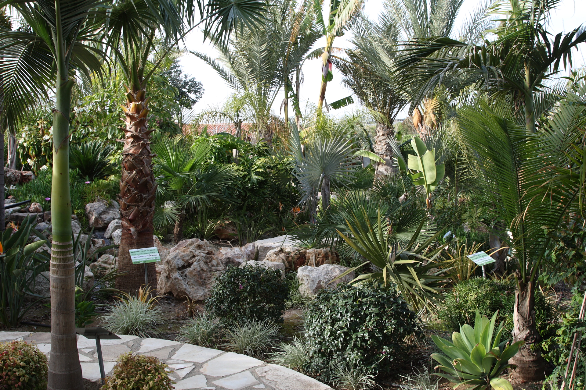 The Eleouthkia Traditional & Botanical Park Cyprus By Bus