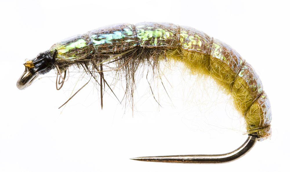 Czech Nymph Slim Pearl Flashback Olive