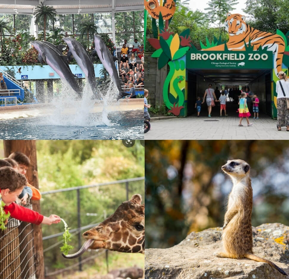 Chicago Zoological Society Brookfield Zoo & The Chicago Zoological Society