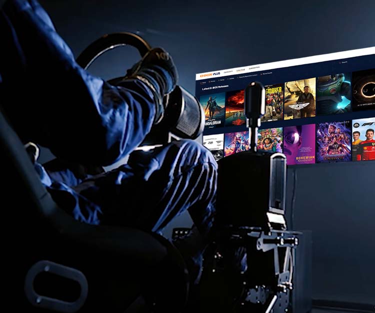 DBOX Sim Racing Realistic Simulated Racing World Leader