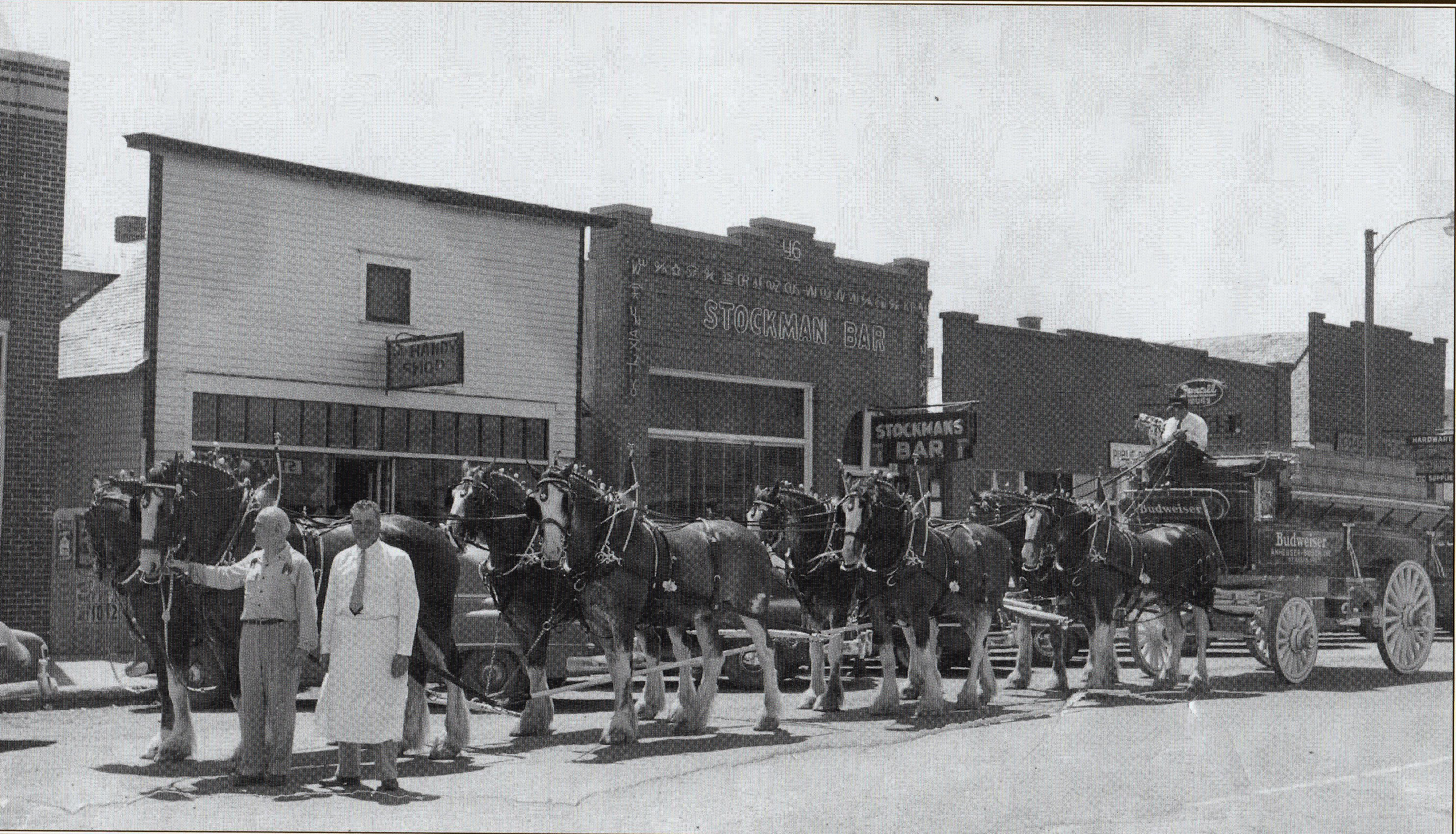 Wolf Point Stampede Photos