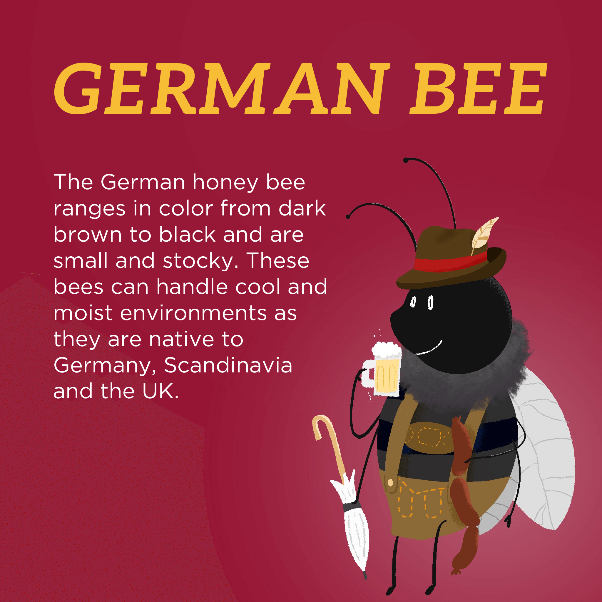 GermanBee_Text Beekeeping Supplies & Equipment Dadant & Sons 1863