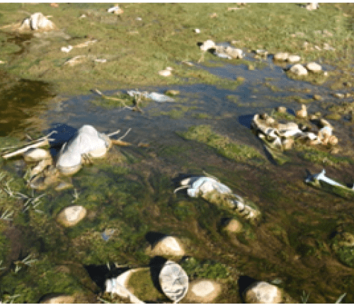 مياه وادي دادس تتحول إلى “مطرح بيجماعاتي”