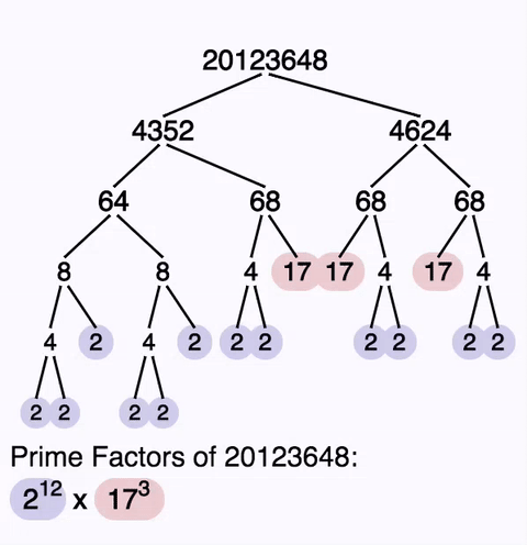 Prime Number Factorization Chart