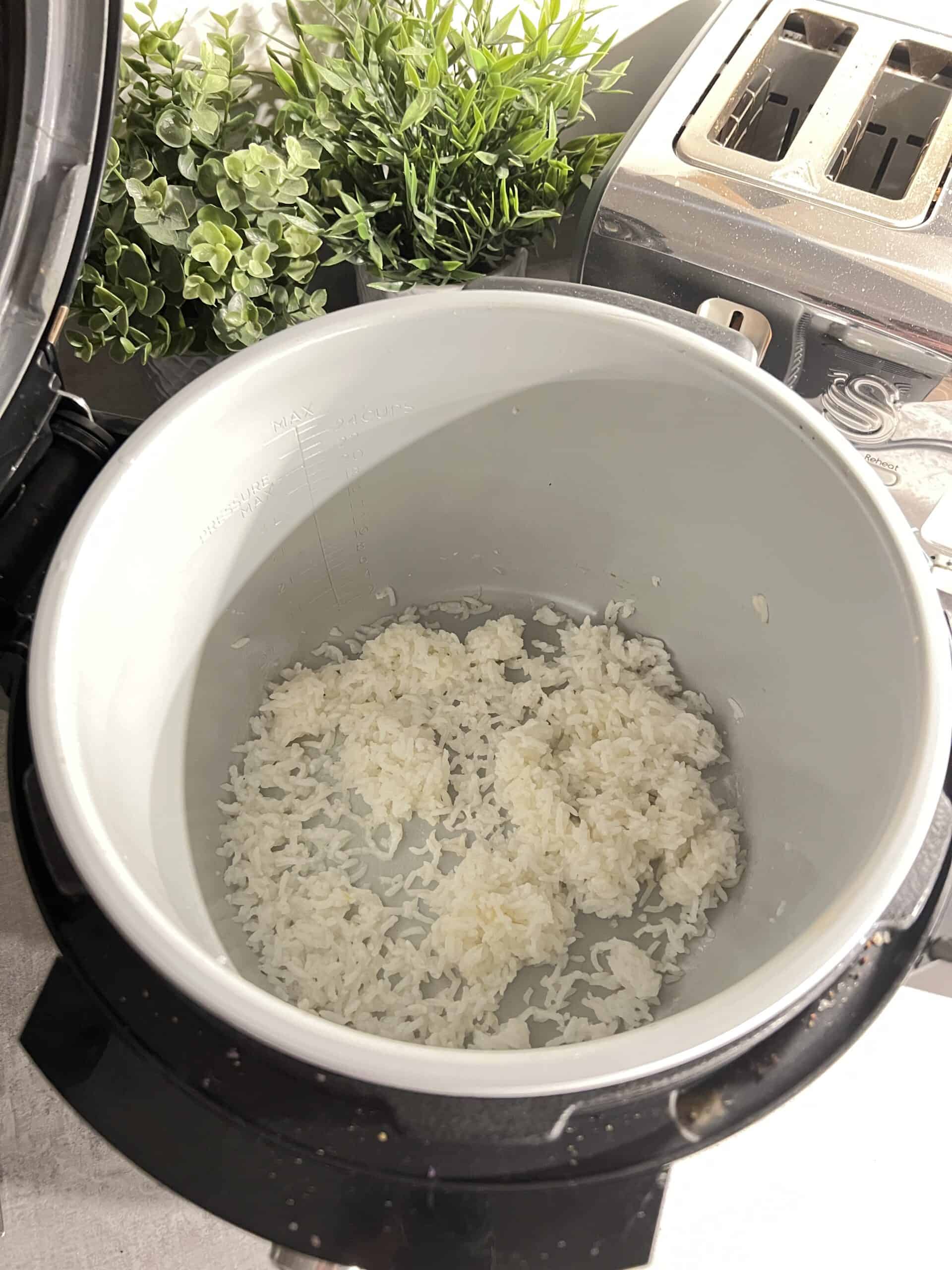 Ninja Foodi Steamed Rice Dad What Cooks