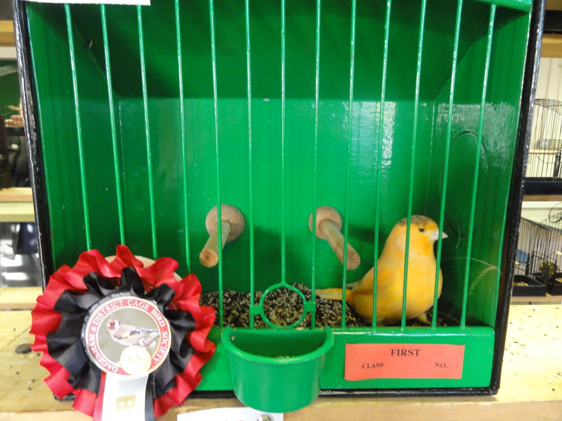 Dagenham & District Cage Birds Society