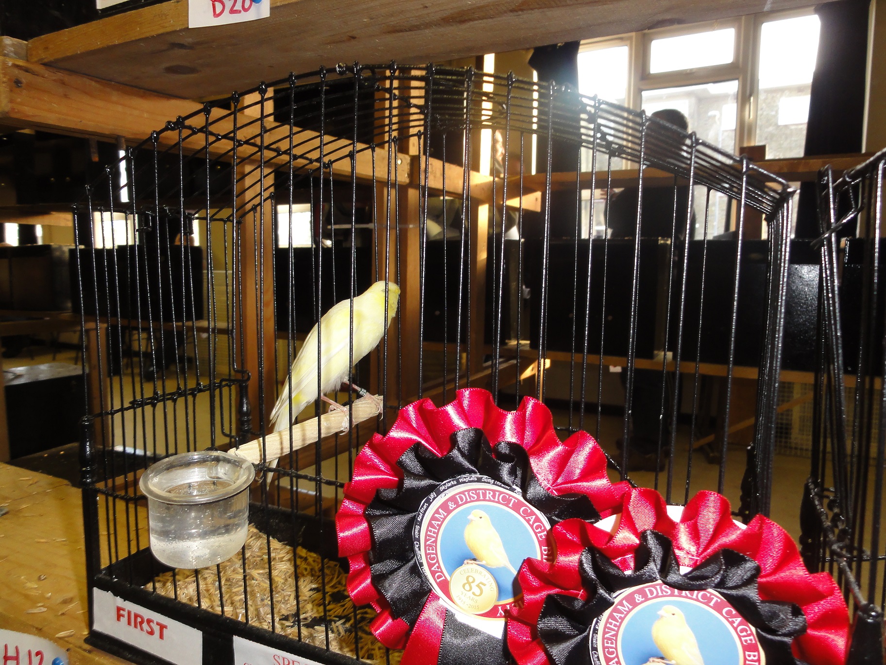 Dagenham & District Cage Birds Society