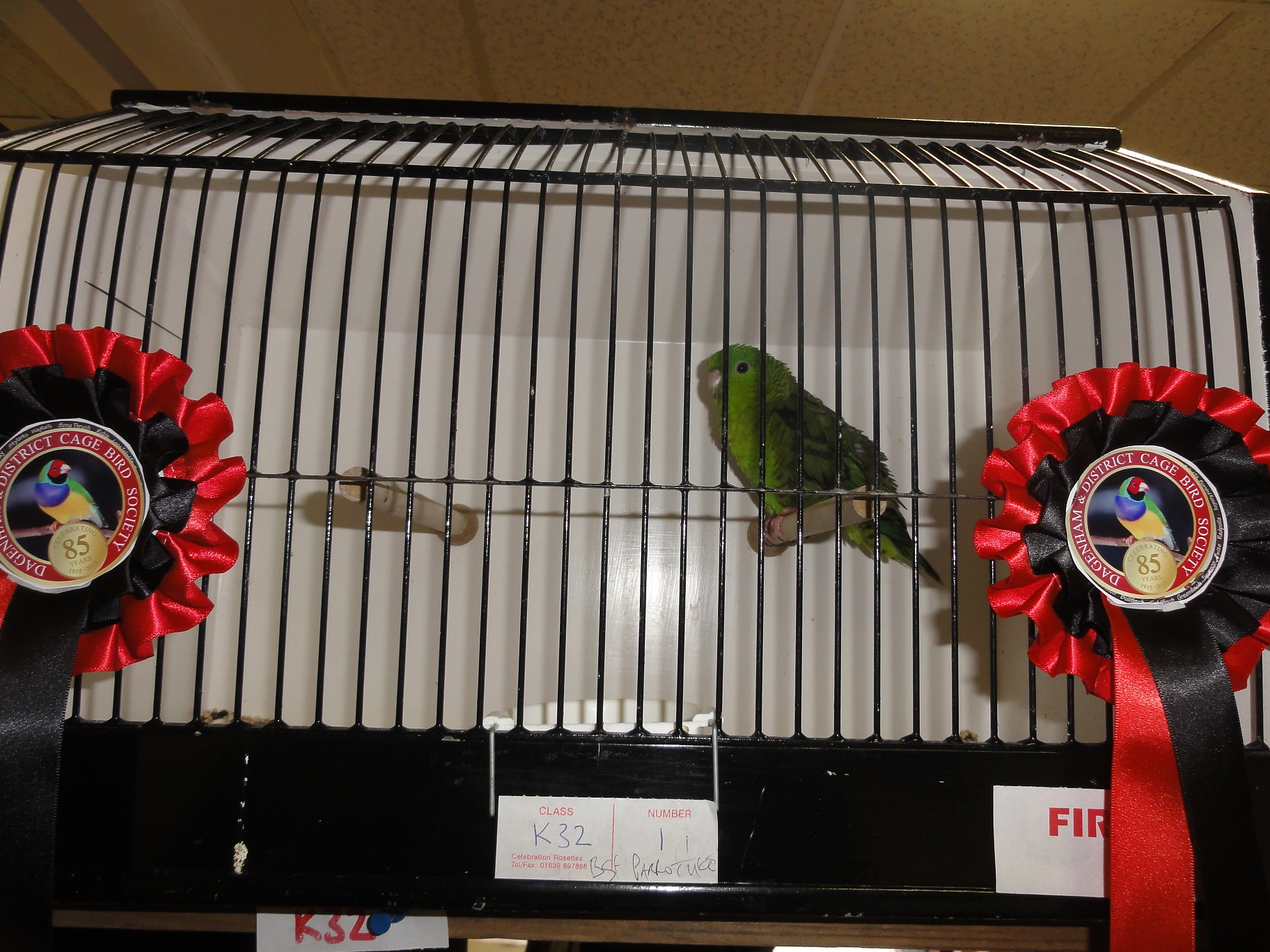 Dagenham & District Cage Birds Society