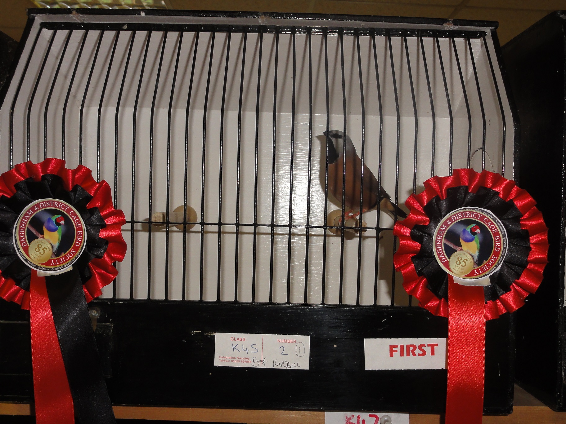 Dagenham & District Cage Birds Society