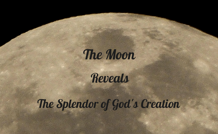 How Bibles Made It To the Moon Daily Devotionals