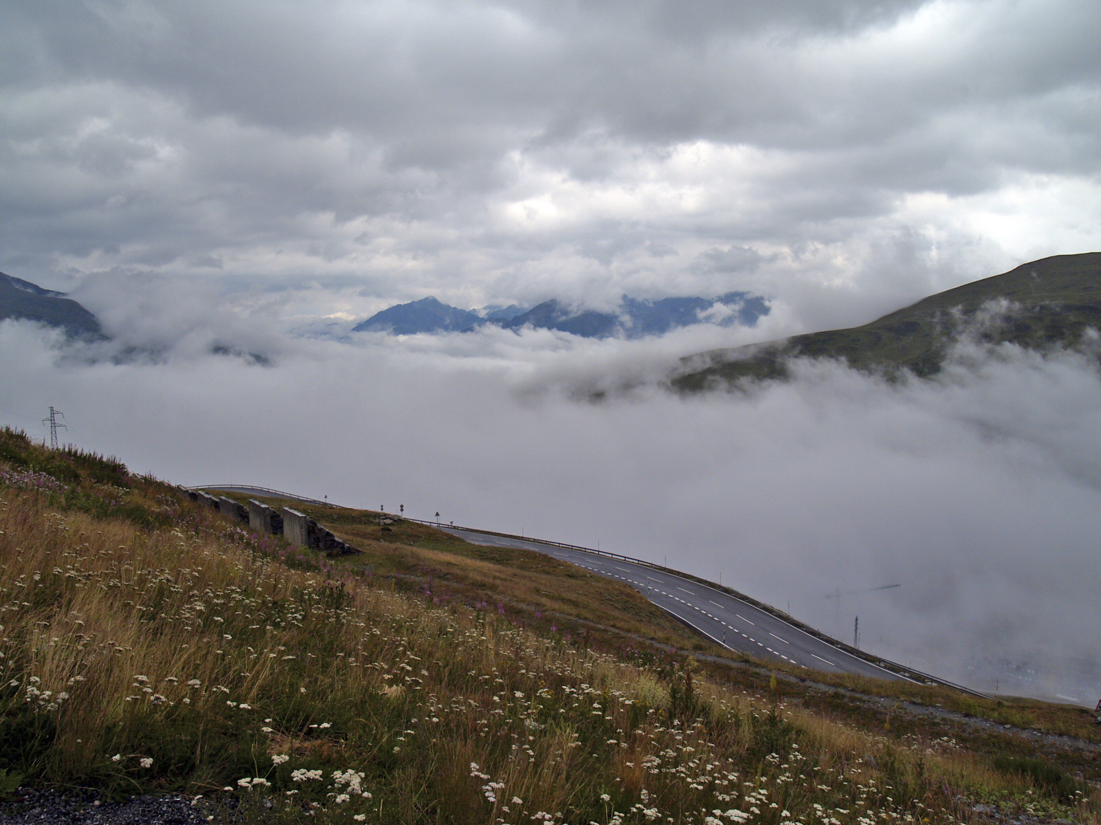 Partially Obstructed View – Daily Compass