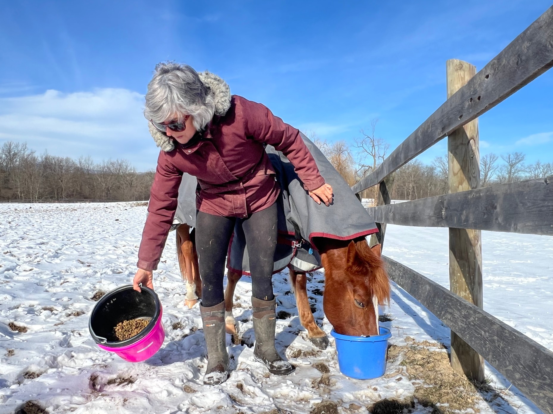 Pony Up Rescue Collective in Tivoli rescues horses and encourages