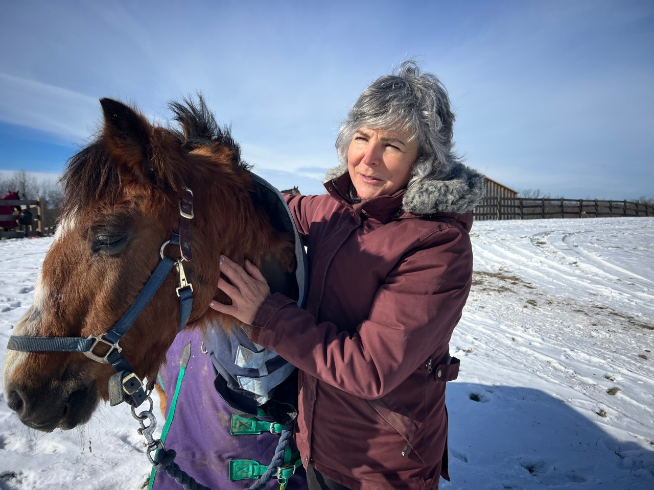 Pony Up Rescue Collective in Tivoli rescues horses and encourages
