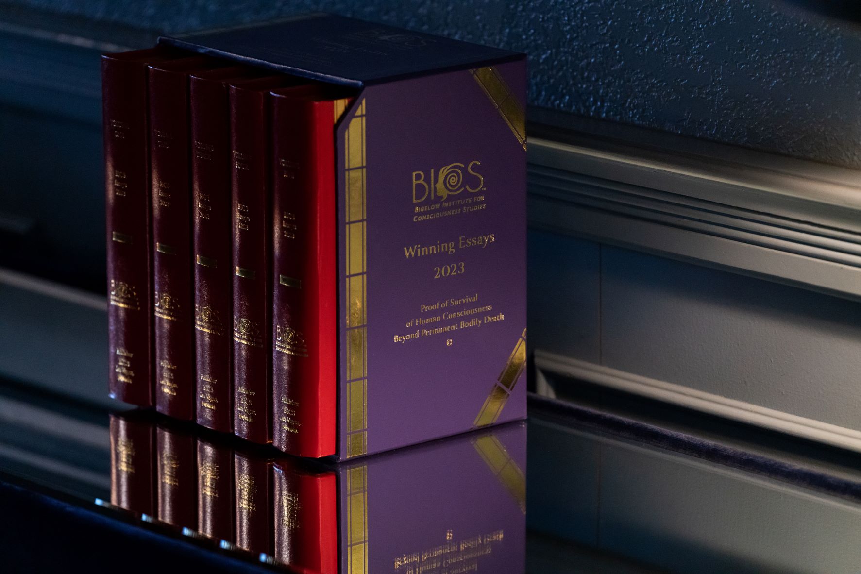 Bigelow Afterlife Essays Book Set Offered for Free The Daily Grail