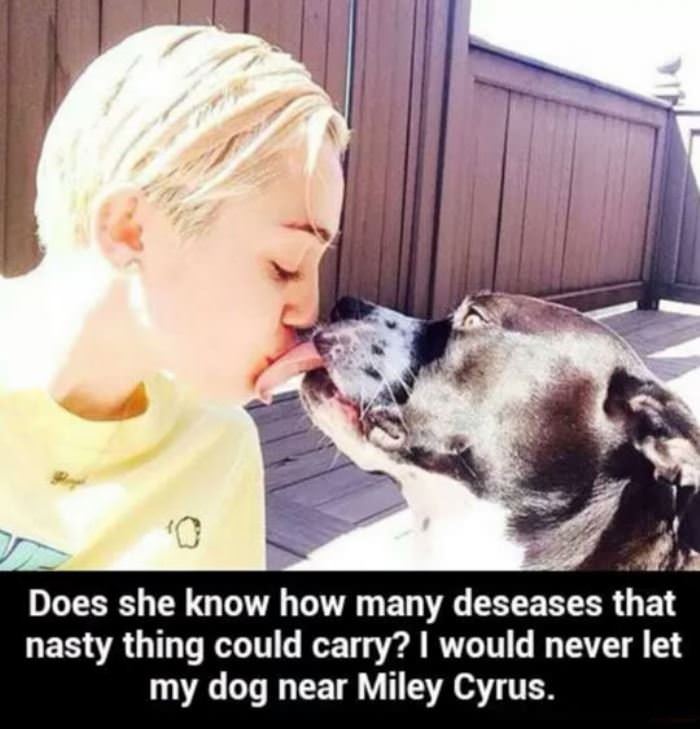 That Dog