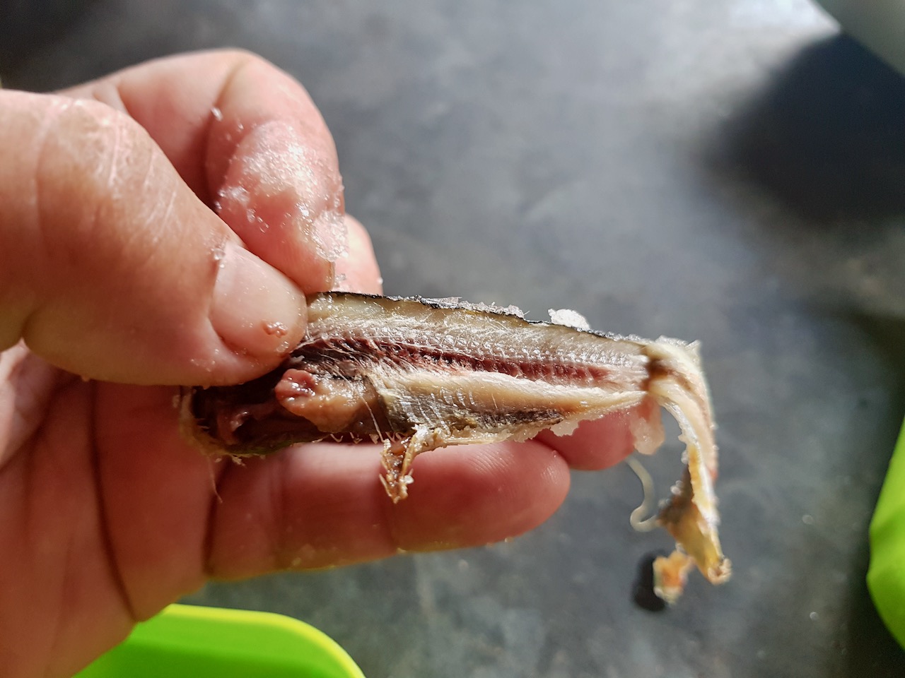 Sardines, Sauerkraut and Lockdown