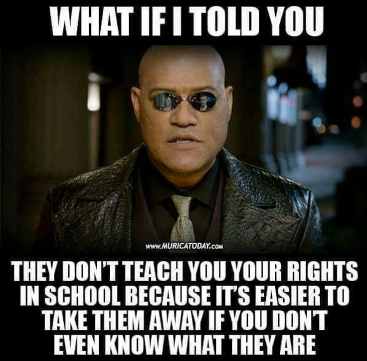 17 Funny Leftist Political Memes Which Trump Hasn't