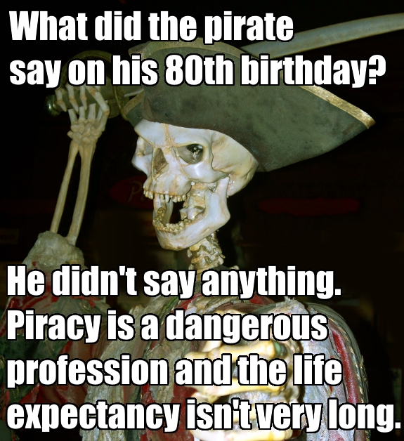 Shared Across the 7 Seas These 33 Hilarious Pirate Memes Will Make You