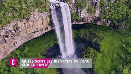 Les Dangers De L Huile De Palme Cosmopolitan Fr