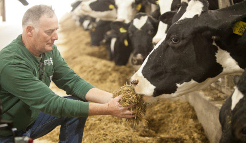 U.S. dairy industry advances three gamechanging solutions to deliver a
