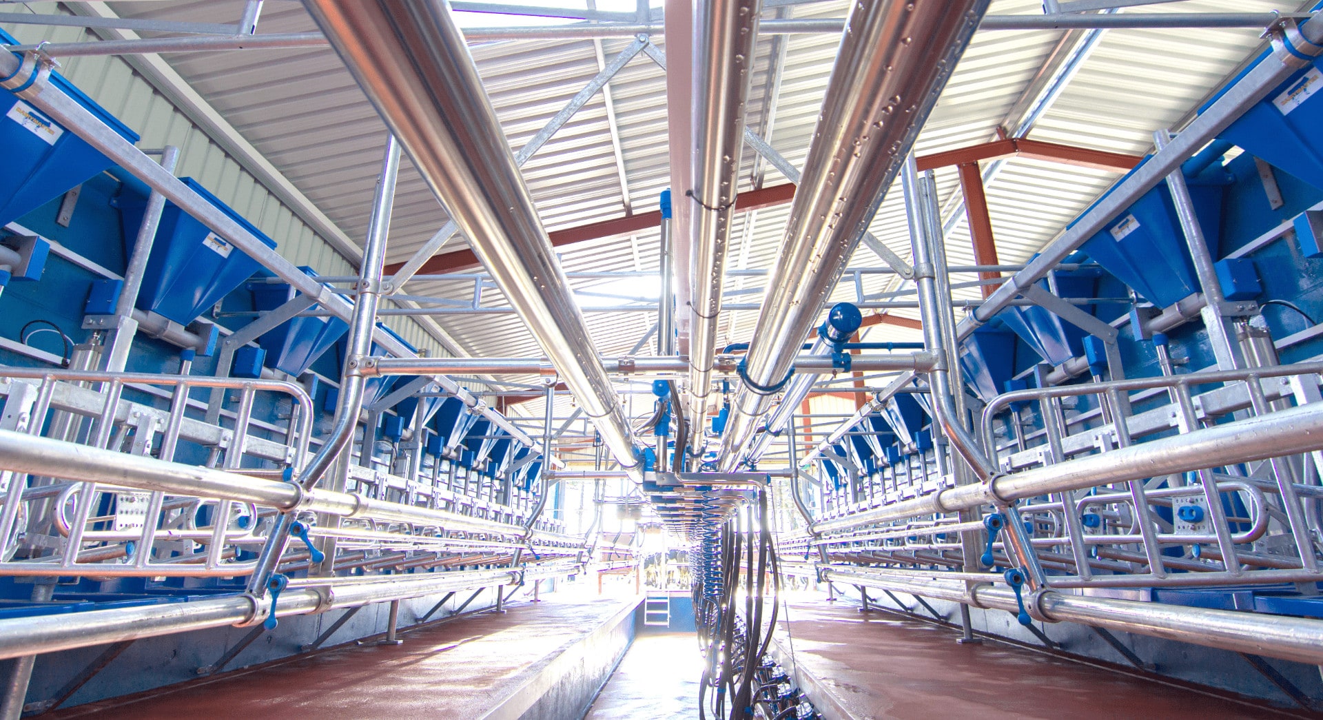 About us Dairymaster