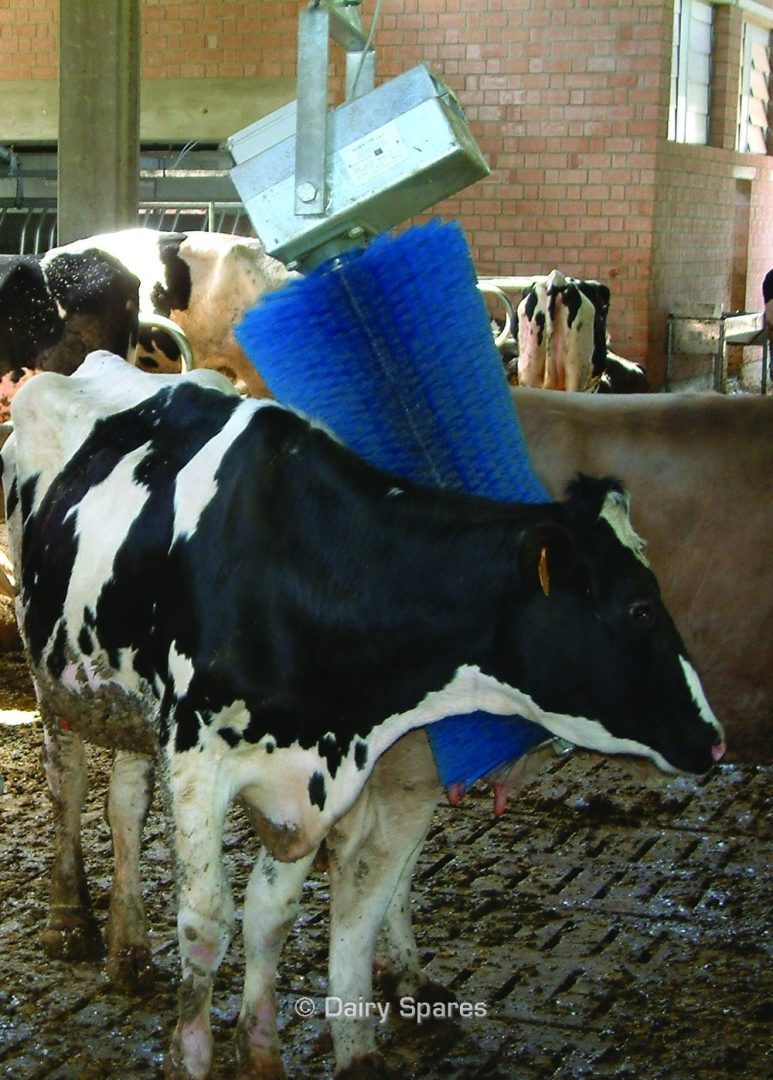 CowKing Swing Rotating Cattle Brush, Pendulum Mounted (Max 60 Cows