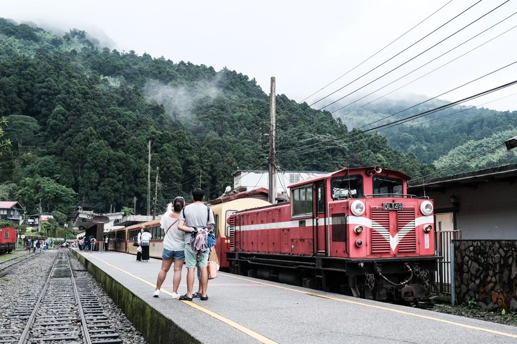 嘉義阿里山 奮起湖老街吃什麼 百年檜木甜甜圈 奮起湖便當 手洗愛玉 輕旅行